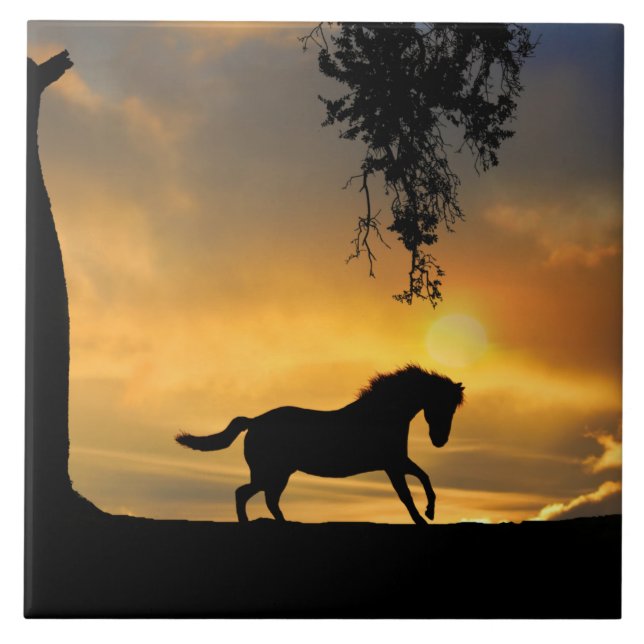 Azulejo Caballo y Sunset en el Suroeste Hermoso (Frente)