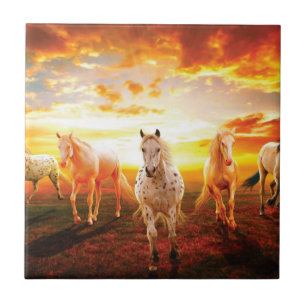 Azulejo Caballos al atardecer lanzando almohada