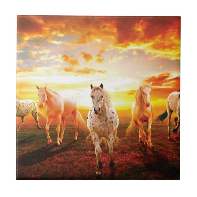 Azulejo Caballos al atardecer lanzando almohada (Frente)