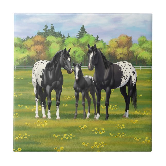 Azulejo Caballos Appaloosa Negros En Pastel De Verano (Frente)