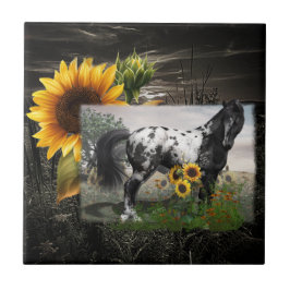 Azulejo Caballos girasoles y appaloosa