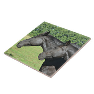 Azulejo Caballos negros en un campo iluminado por el sol