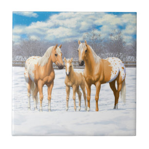 Azulejo Caballos Palomino Appaloosa De Nieve