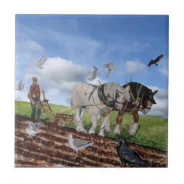 Azulejo Caballos Pesados En Marzo