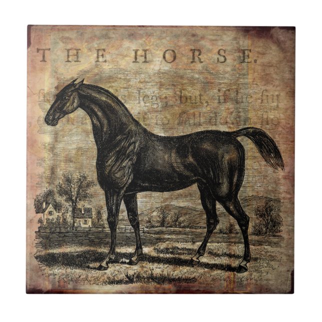 Azulejo Caballos Vintage divididos y caballos árabes (Frente)