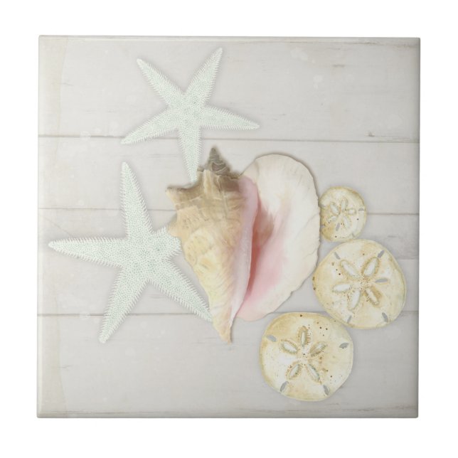 Azulejo Cabaña de playa Starfish Sanddolar Conch Shell Woo (Frente)