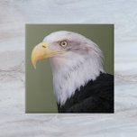 Azulejo Cabeza de águila calva americana<br><div class="desc">Baldosa cerámica con la imagen de una águila calva norteamericana madura con la cabeza blanca. Seleccione su tamaño de mosaico. ¡Hace un gran trivet de cocina!</div>