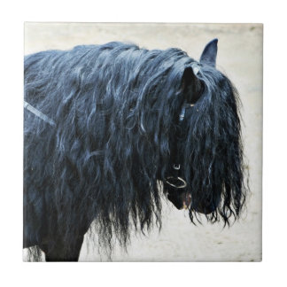 Azulejo Cabeza de caballo negra