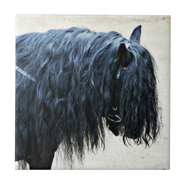 Azulejo Cabeza de caballo negra (Frente)
