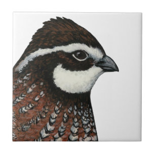 Azulejo Cabeza de codorniz Bobwhite