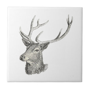 Azulejo Cabeza de Deer Buck con anguilas cazando dibujos