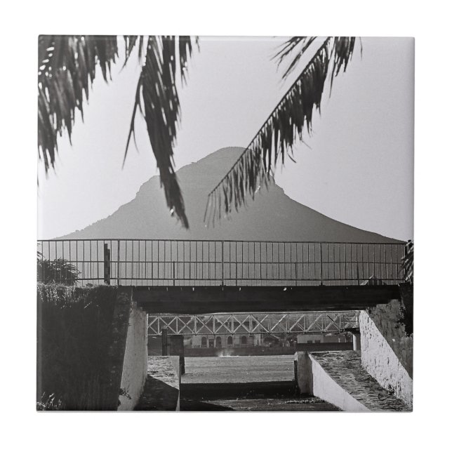 Azulejo Cabeza de león de Ciudad del Cabo, Sudáfrica ZA (Frente)