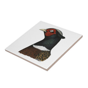 Azulejo Cabeza de Pheasant Ringneck