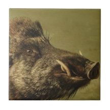 Cabeza de Wild Boar