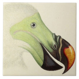 Azulejo Cabeza vintage de un Dodo