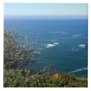 Azulejo Cabo Foulweather, Oregón
