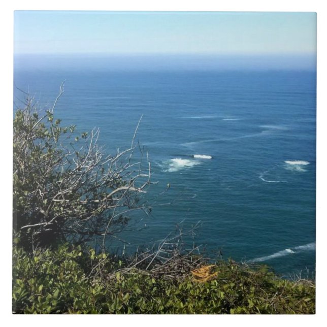 Azulejo Cabo Foulweather, Oregón (Frente)