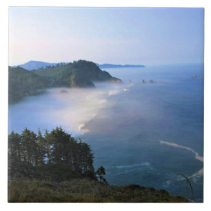 Azulejo Cabo Meares, Costa de Oregón