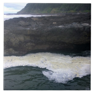 Azulejo Cabo Perpetua, Costa de Oregón