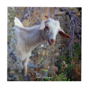 Azulejo Cabra sonriente