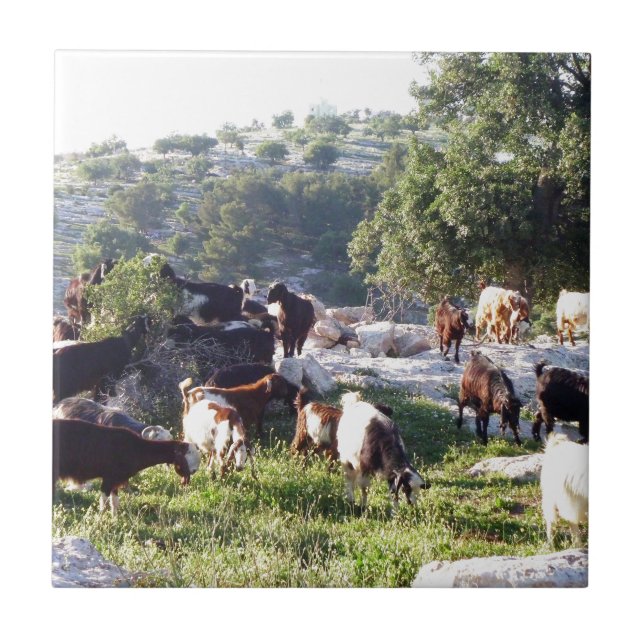 Azulejo Cabras (Frente)