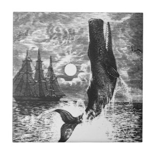 Azulejo Cachalote saltando, Animales de la vida marina ant