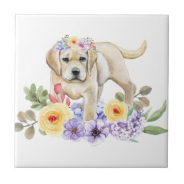 Azulejo Cachorro amarillo