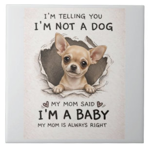 Azulejo cachorro de Chihuahua lindo