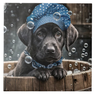 Azulejo Cachorro Negro Labrador Bebé Spa Baño de Burbujas