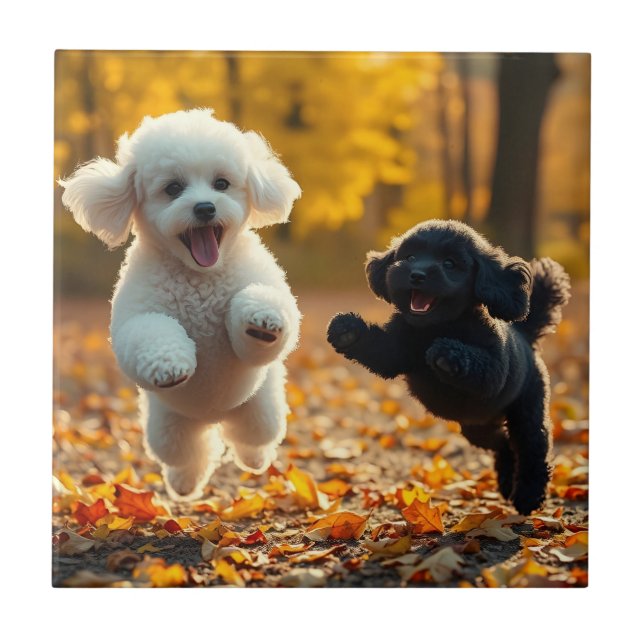 Azulejo Cachorros de Caniche Saltarines (Frente)