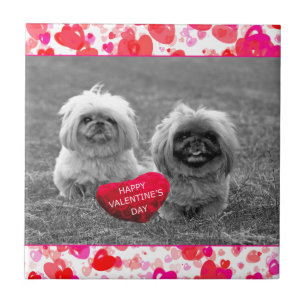 Azulejo Cachorros de Pekín deseando feliz Día de San Valen