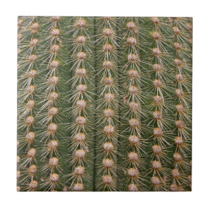 Azulejo Cactus cerrar