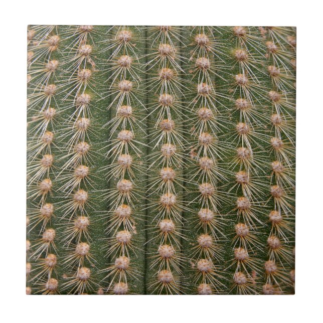 Azulejo Cactus cerrar (Frente)