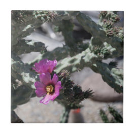 Azulejo Cactus Cholla en flor