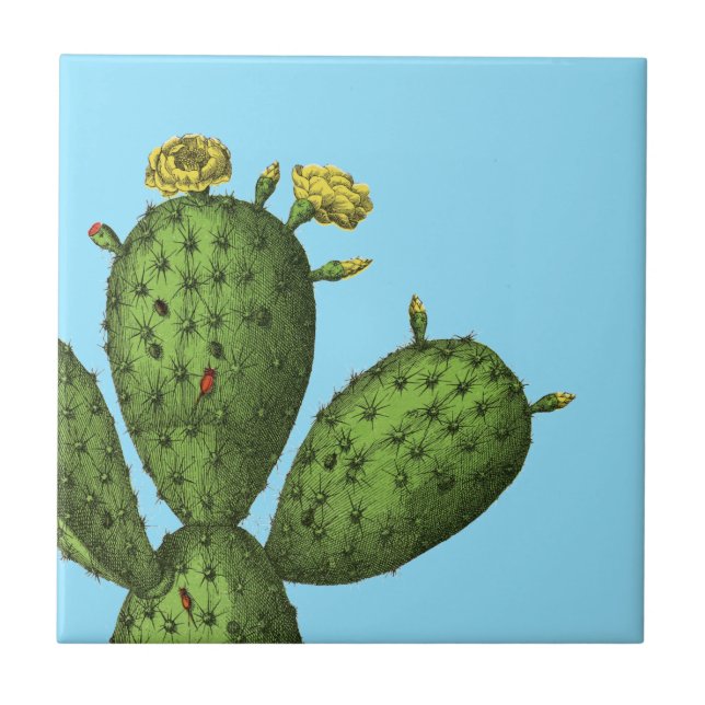 Azulejo Cactus con las flores amarillas (Frente)
