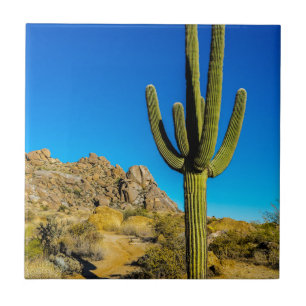 Azulejo Cactus derecho