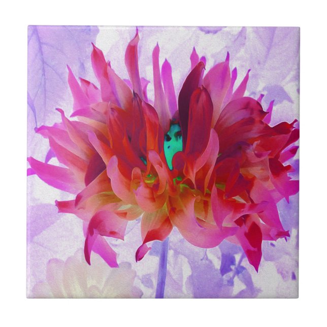 Azulejo Cactus Rojo y Rosa Caliente Dahlia (Frente)