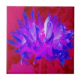 Azulejo Cactus Violeta Azul y Rosa Caliente Dahlia