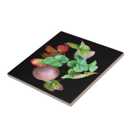 Azulejo Caer en la temporada de fresas Fotografía del jard