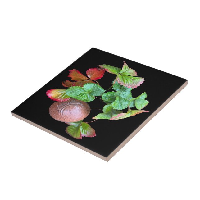 Azulejo Caer en la temporada de fresas Fotografía del jard (Lado)