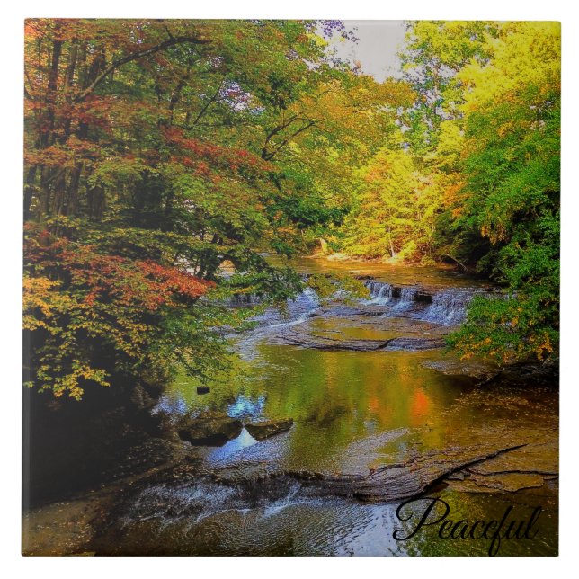Azulejo Caída de otoño en el sol de la mañana (Frente)