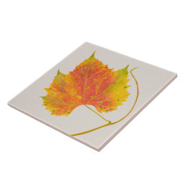 Azulejo Caída en pozos de cerámica