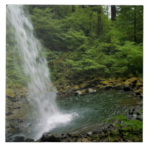 Azulejo Caídas de cola de caballo, OR