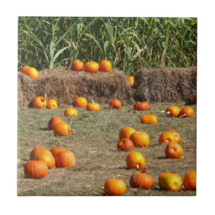Azulejo Calabazas, maíz y heno Fotografía de la cosecha de