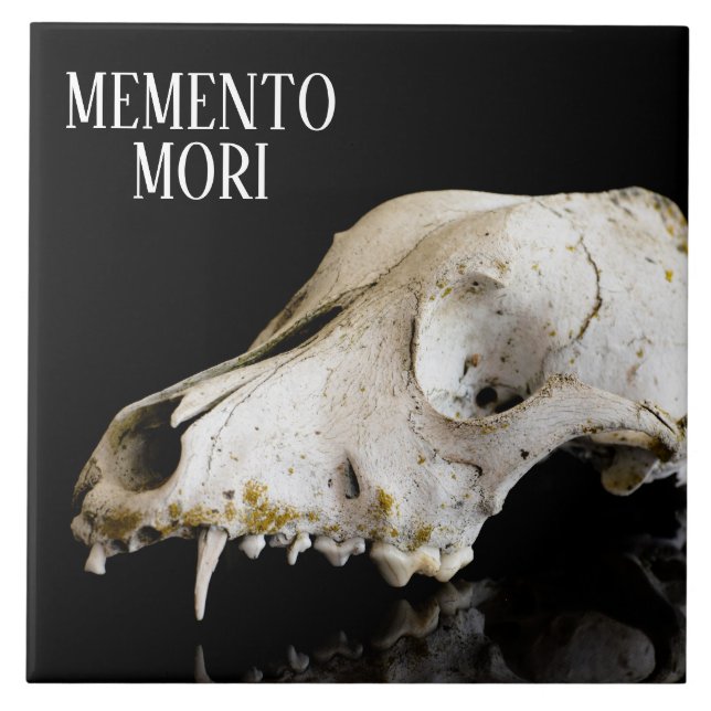 Azulejo Calavera animal (Frente)