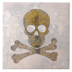 Azulejo Calavera y huesos hablando cañones, Nuevo México