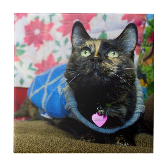 Azulejo Calcio II (Frente)