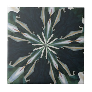 Azulejo Caleidoscopio de la estrella de la cala