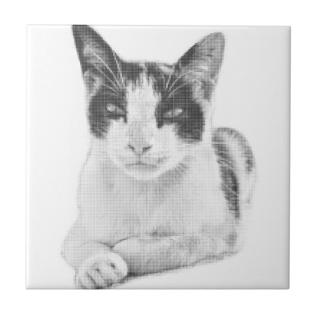 Azulejo Calico Pop Halftone (Frente)