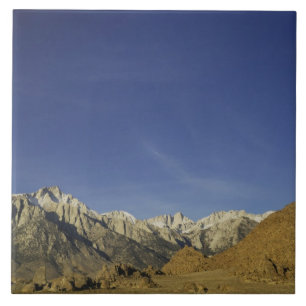 Azulejo California, Monte Whitney, Bosque Nacional Inyo